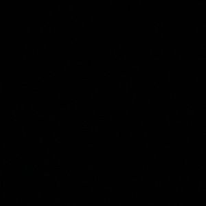 Meet your Posher, Ana